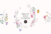 Watercolor Wildflowers Bundle, a Decorative Illustration by Lana Elanor (Thumbnail 8 of 9)