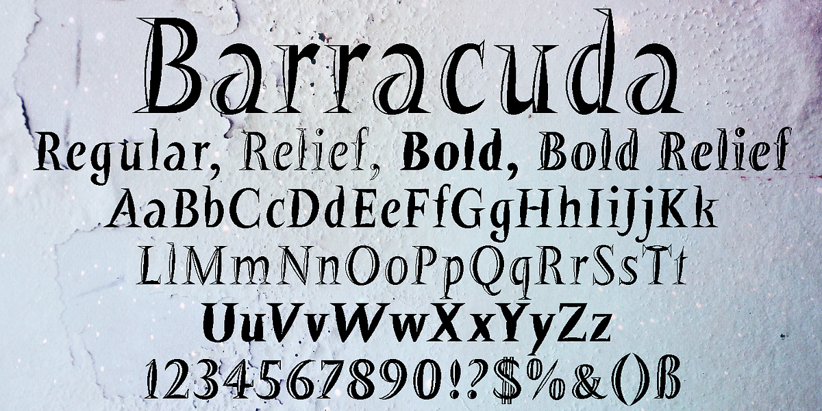 Barracuda, a Serif Font by Wiescher-Design