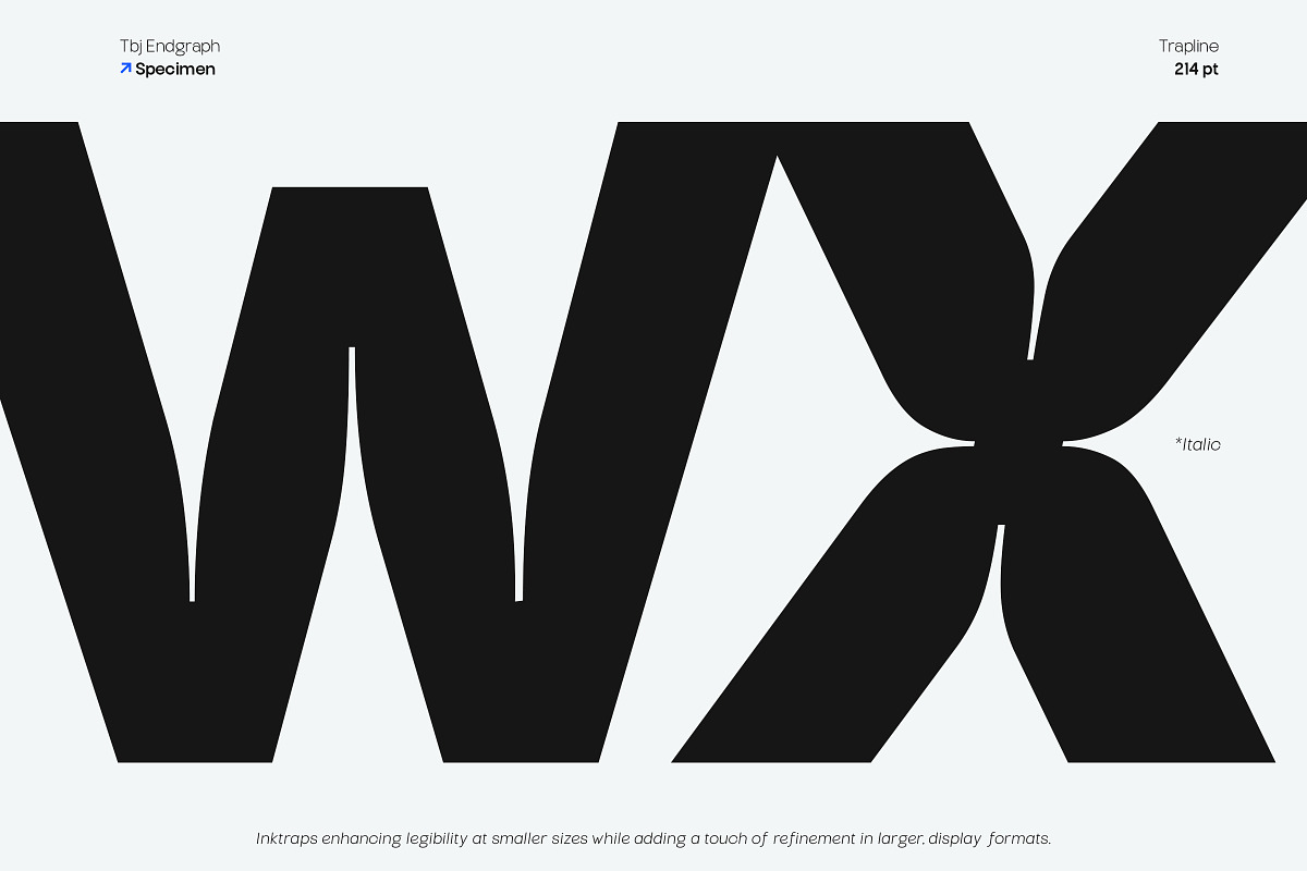 TBJ Endgraph Variable Font, a Sans Serif Font by Taboja Studio (Photo 5 of 21)