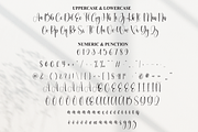Cristian Angelina | Script Font, a Handwritten Font by Scratchones (Thumbnail 7 of 9)