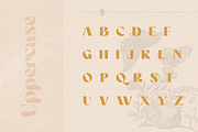 Darker Sans Serif + Extras, a Sans Serif Font by 1871 Project (Thumbnail 3 of 12)