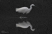 Kasane - Japanese Paper Overlays, a Texture Graphic by alonahaidash (Thumbnail 10 of 22)