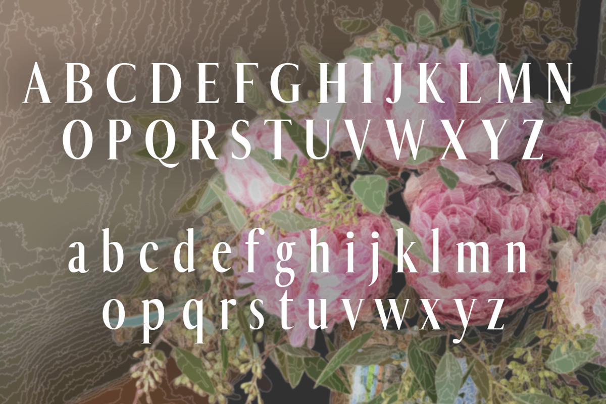 Wedding Display Font preview 4