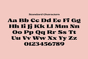 Caleit - Variable Font, a Serif Font by Get Studio (Thumbnail 19 of 20)