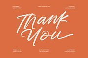 Cocktail Bigoter Modern Script Font, a Script Font by stylishtype.co (Thumbnail 15 of 15)