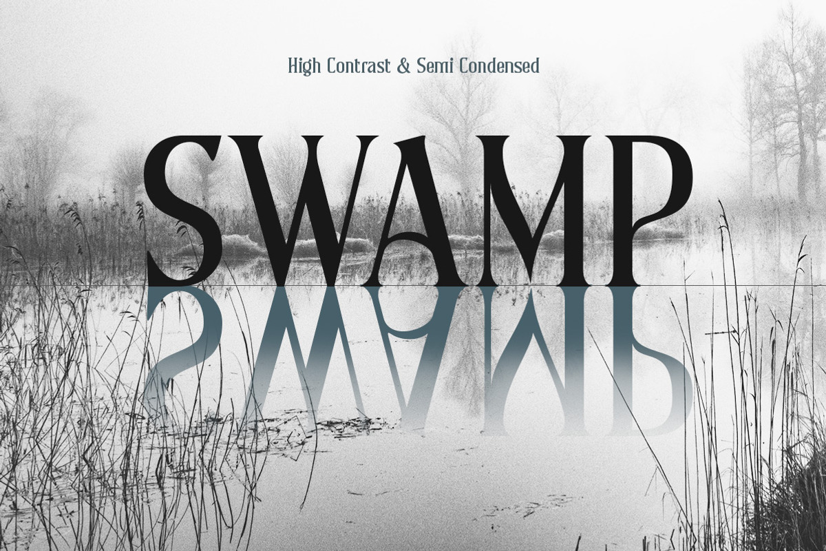Briston, a Serif Font by Typeskets (Photo 8 of 13)