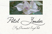 Petal Yonder: Airy Script Font, a Script Font by Mneme (Thumbnail 7 of 9)