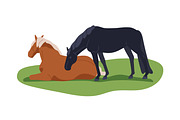 Horses together outdoors set, an Animal Illustration by Good Studio (Thumbnail 3 of 5)