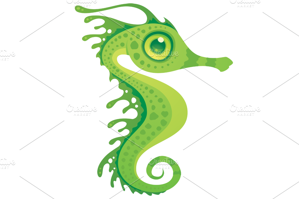 Leafy Sea Dragon Seahorse, an Animal Illustration by Schwegel Illustration