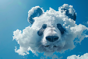 90 Clouds animals against a blue sky, an Animal Illustration by Handmadefont (Thumbnail 21 of 64)