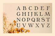 Phaedra // A Retro Serif Typeface, a Serif Font by Megs Lang (Thumbnail 11 of 17)