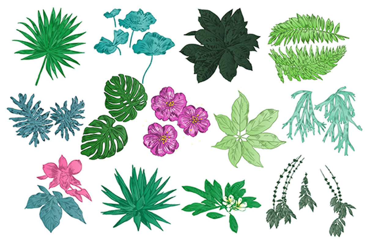 TROPIC FLOWERS, a Decorative Illustration by Tanya Akhmett (Photo 2 of 3)