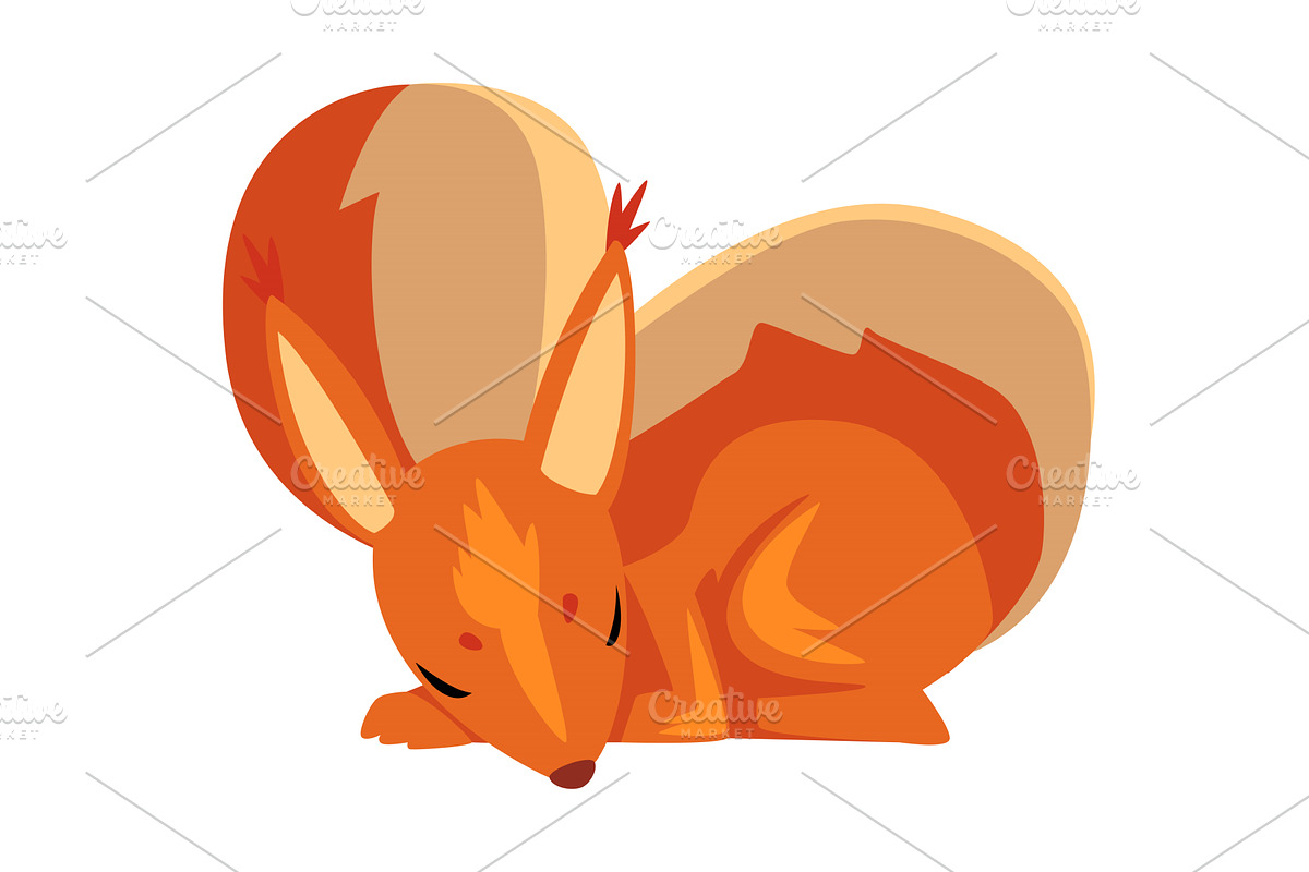 Cute Sleeping Squirrel, Lovely, an Animal Illustration by TopVectors