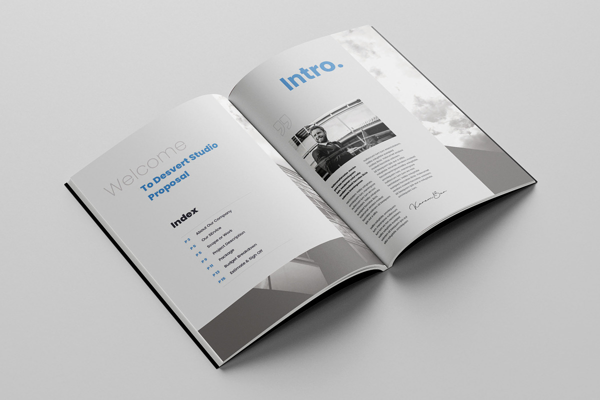 Business Proposal Template, Brochure, a Brochure Template by Niofix (Photo 2 of 6)