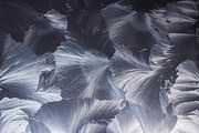 Frost - 15 Textures, a Texture Graphic by Blue Line Design (Thumbnail 15 of 16)
