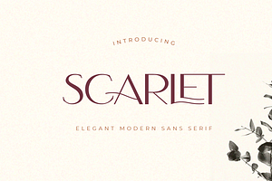 Scarlet | Minimal Elegant Font
