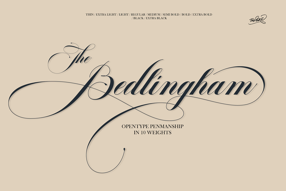 Bedlingham, a Script Font by Teweka (Photo 1 of 12)