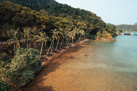 Coconut trees on the beach on the island, a Nature Photo by Art Rachen