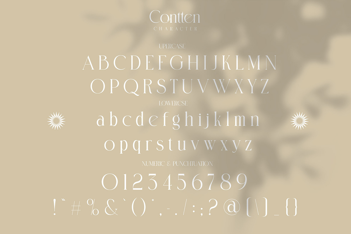 Contten Modern Ligature Serif, a Serif Font by Alfinart (Photo 8 of 11)