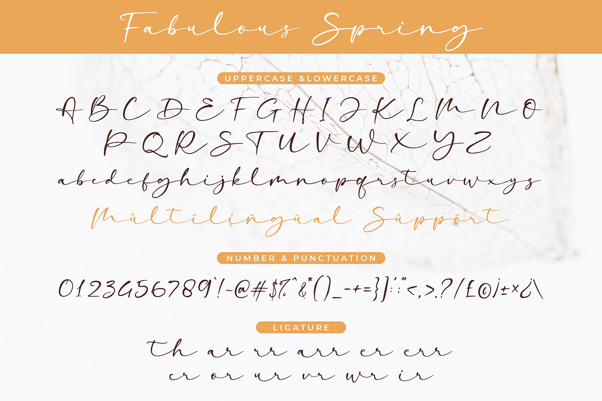 Fabulous Spring - A Font Duo, a Script Font by Beautypes (Photo 6 of 7)
