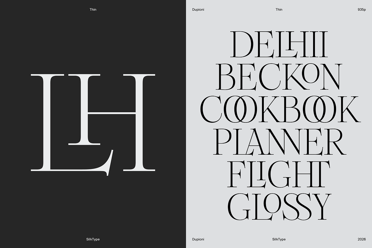 Dupioni Thin - Ligature Serif, a Serif Font by Silktype (Photo 8 of 20)