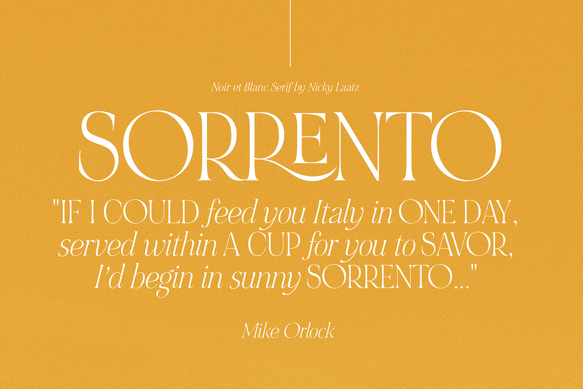 NOIR et BLANC Stylish Serif, a Serif Font by Nicky Laatz (Photo 32 of 41)
