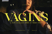 Vagins Vintage Serif Font