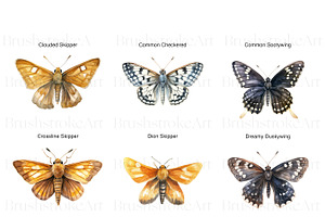 Skipper Butterfly Clipart, Butterfly