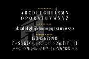 Badelosh Ralintesla Modern Font Duo, a Serif Font by Storytype Studio (Thumbnail 11 of 15)