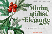 Hukela Display Serif (15 Font), a Serif Font by Positive TypeFoundry (Thumbnail 14 of 17)