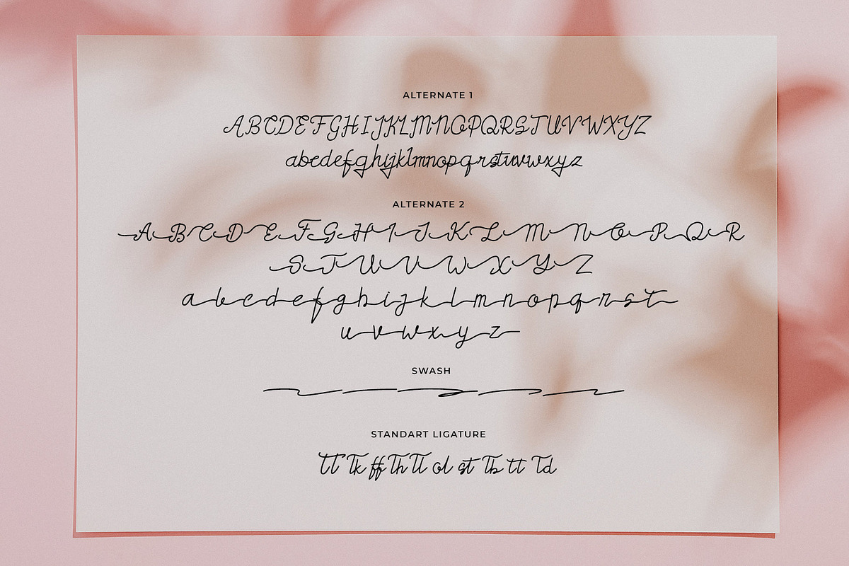 Yunita a Handwritten Script Font, a Script Font by Dawnside Graphic (Photo 6 of 11)