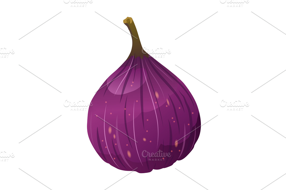Fig Fruit Whole with Thin Skin, a Food Illustration by the8monkey