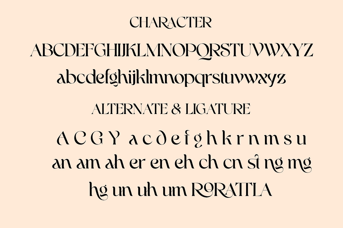yamet kudasi-retro font, a Serif Font by NYDESIGN (Photo 9 of 11)