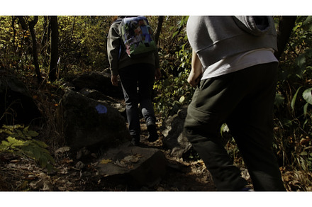 Rear view of groupe of hikers, a Sports & Recreation Photo by Media Whale Stock