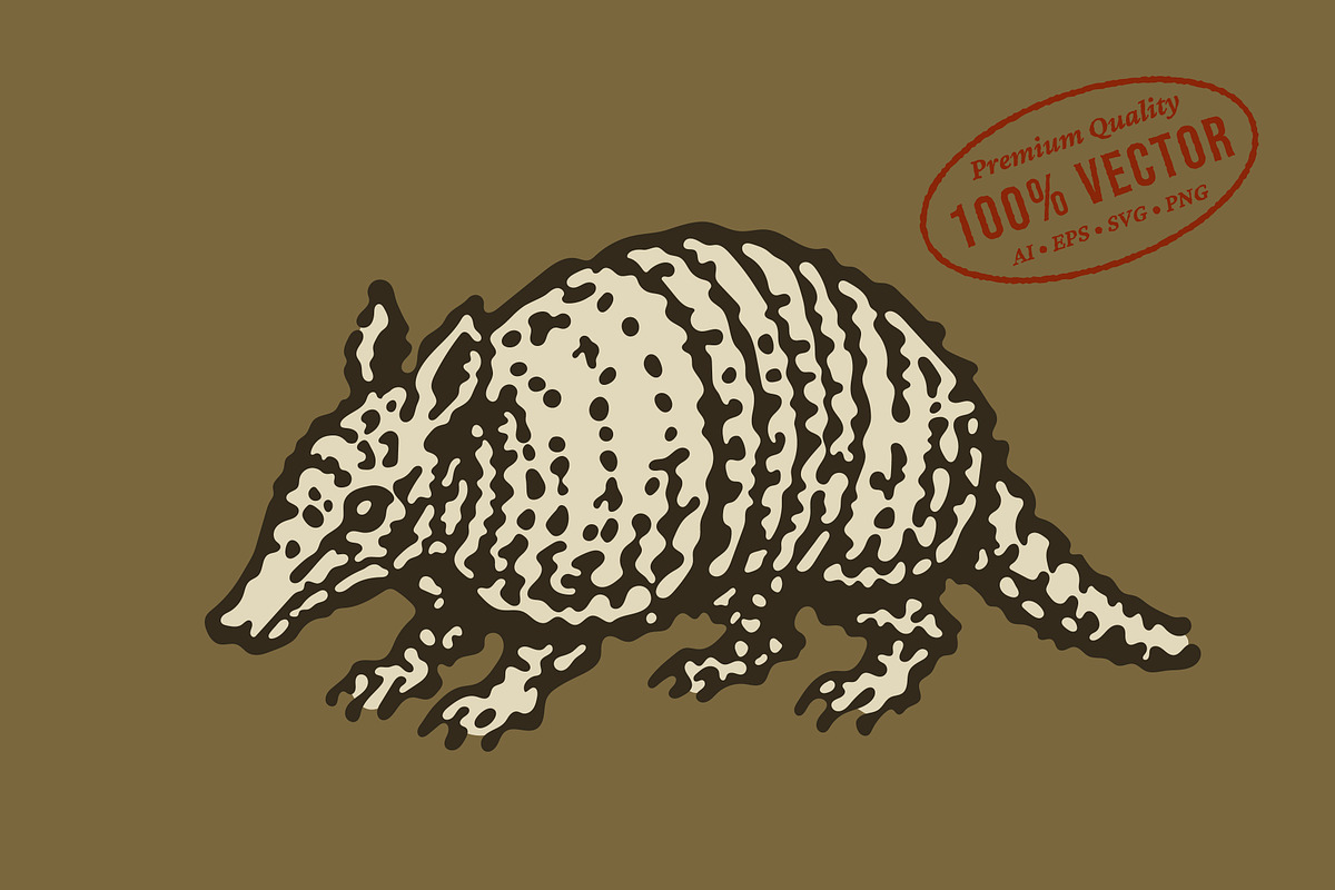Retro illustration of an armadillo, an Animal Illustration by lettett (Photo 1 of 3)