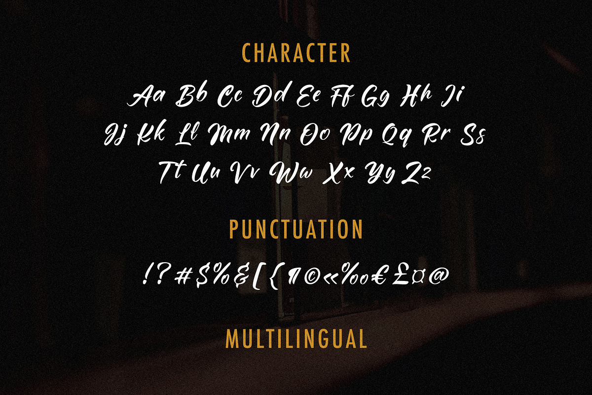 Rhaganeo - Elegant Handwritten Font, a Handwritten Font by Lettermine (Photo 10 of 10)