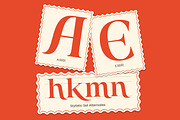 Gts Calira - Romantic Serif Font, a Serif Font by Graptail (Thumbnail 6 of 20)
