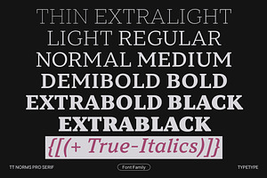 TT Norms Pro Serif