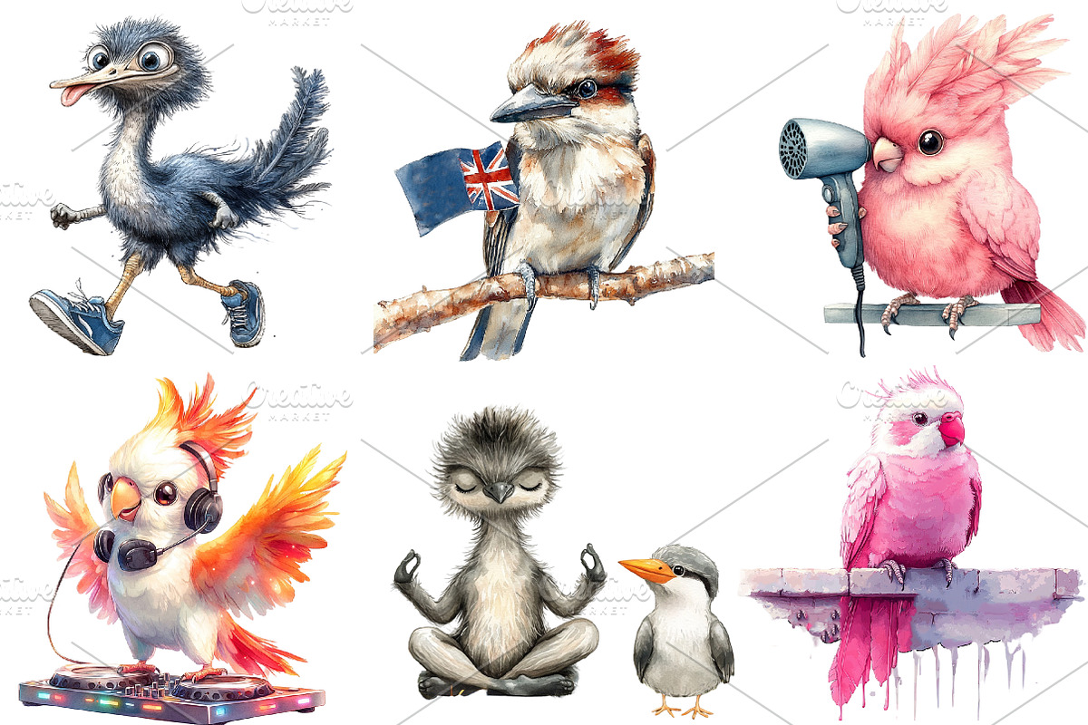 Funny Australian Bird Clipart, an Illustration by Watercolor design (Photo 5 of 5)
