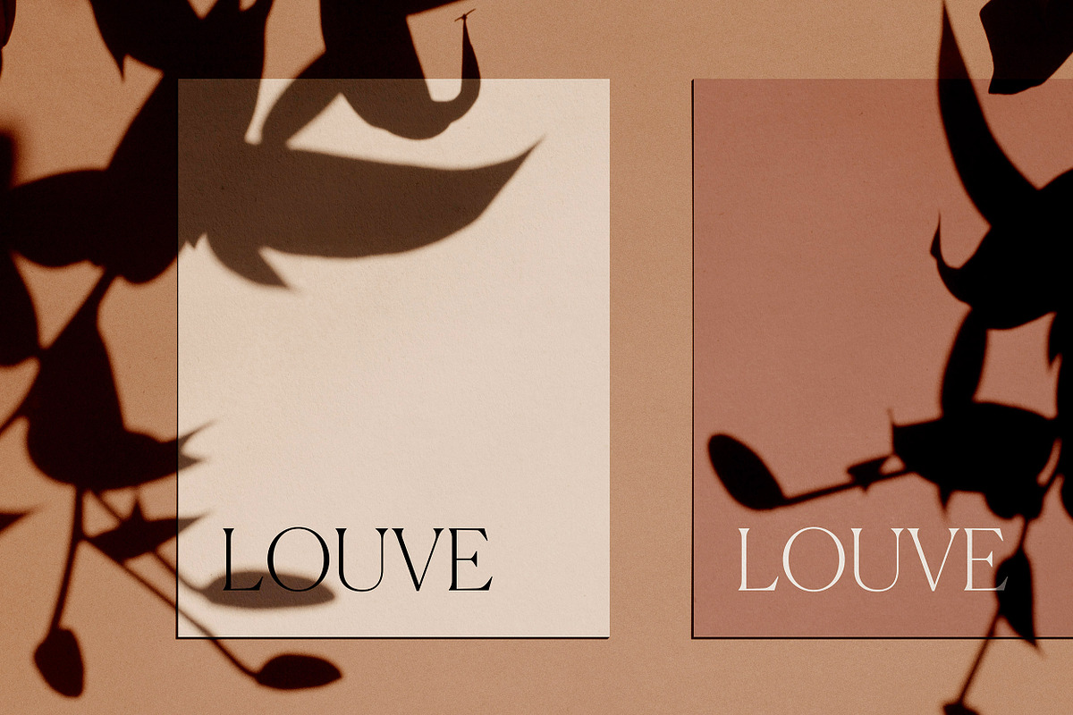 Louve – Shadow Mockup Scene Creator, a Product Mockup by October November (Photo 8 of 15)