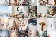 Frosty Treasures. 150 Stock Photos, a Photo by Lidberia (Thumbnail 4 of 14)