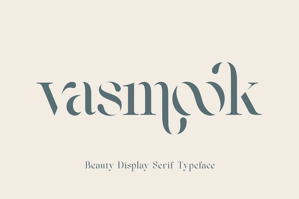 Vasmook, a Serif Font by Sealoung (Photo 1 of 15)