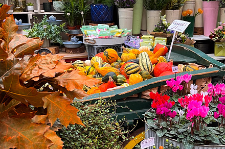 Borough Market London Flowers