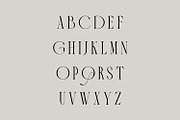 Galileo Sleek Classic serif Font, a Serif Font by WhymoreArt (Thumbnail 9 of 11)