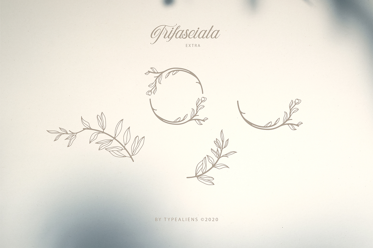 Trifasciata, a Script Font by ilhamtaro (Photo 11 of 11)