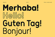 Federasyon Type Family, a Sans Serif Font by Yasin Yalçın (Thumbnail 2 of 14)