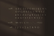 Nemika Elegant Serif Font, a Serif Font by Graphicxell (Thumbnail 7 of 8)