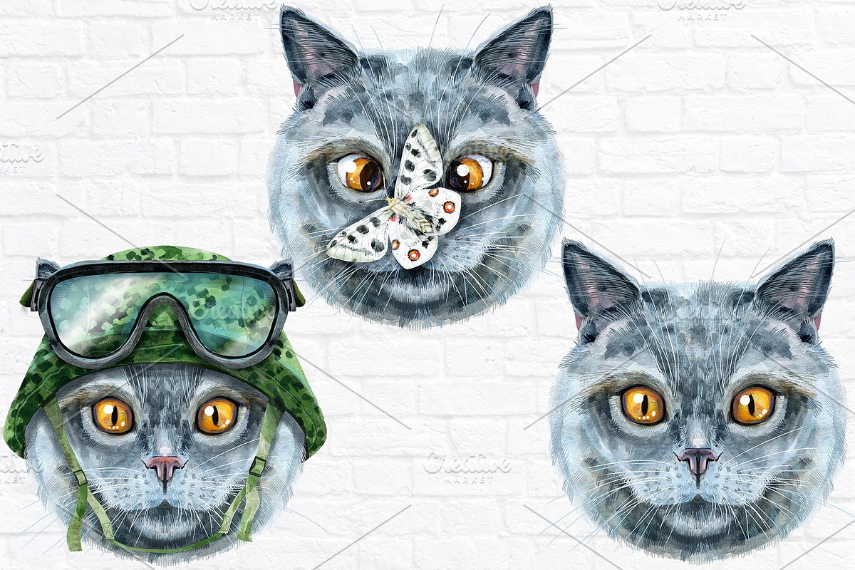 Portraits of British Shorthair cat, an Animal Illustration by Watercolor fantasy (Photo 5 of 6)
