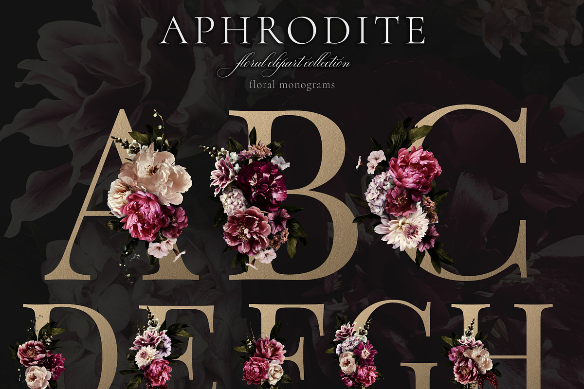Aphrodite Floral Clip Art Collection, an Object Graphic by Eclectic Anthology (Photo 8 of 13)