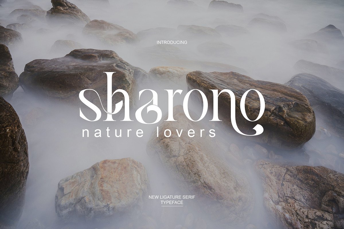 Ghina Ligature Serif Typeface, a Serif Font by yaqublekker (Photo 5 of 10)